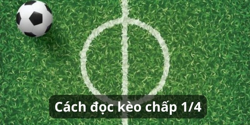 Cách đọc kèo chấp 1/4