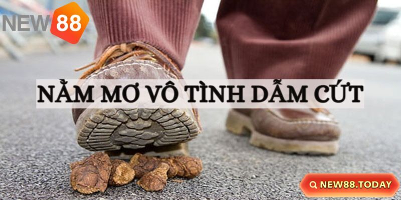 Chiêm bao bản thân lỡ dẫm lên cứt của người khác Chiêm bao bản thân lỡ dẫm lên cứt của người khác